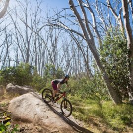 Lake Mountain MTB | Ride High Country