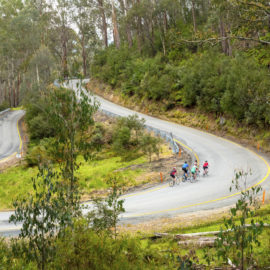 7 Peaks Season - Falls Creek climb