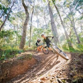 Mountain bikers having on the Indigo Epic trail's flowing berms