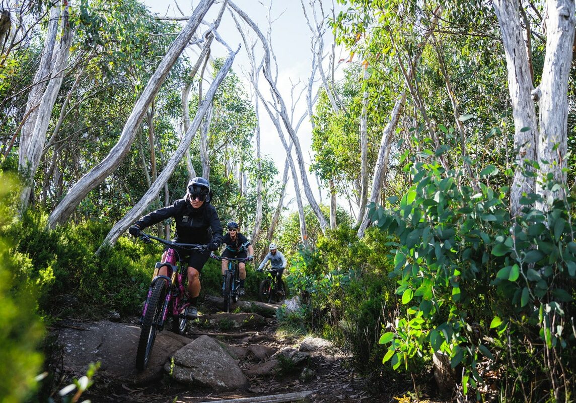 Cyclists riding the iconic Cascades Trail on their mountain bikes